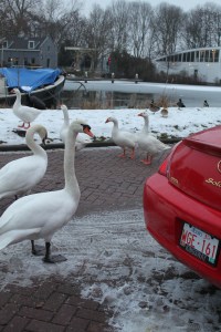 The departure crowd.