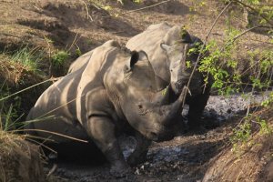 23399_10151177966415108_1812344921_n